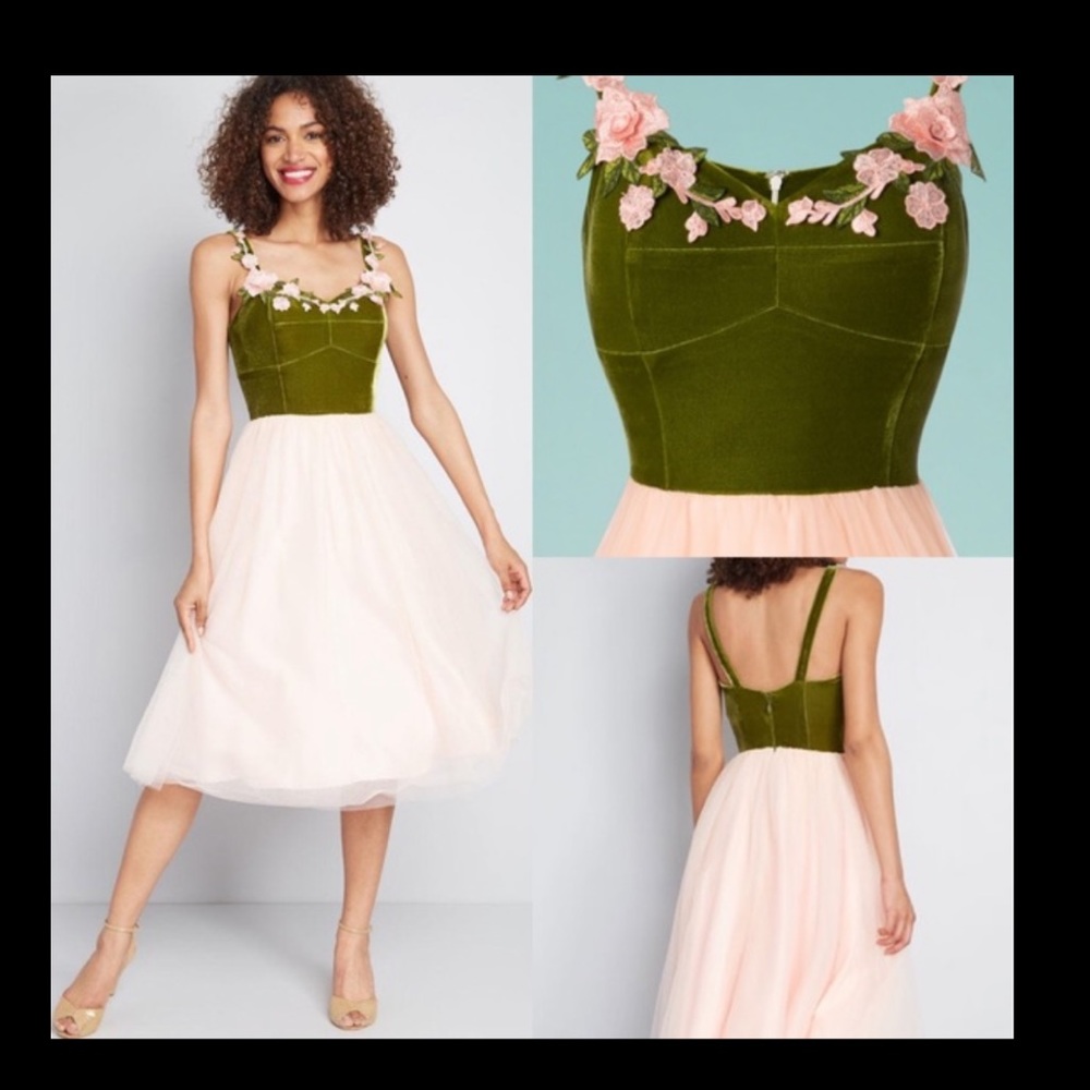 Taking Chances Fit and Flare Dress